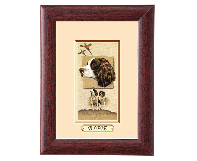 personalised Framed Dog Breed Picture - English Springer Spaniel