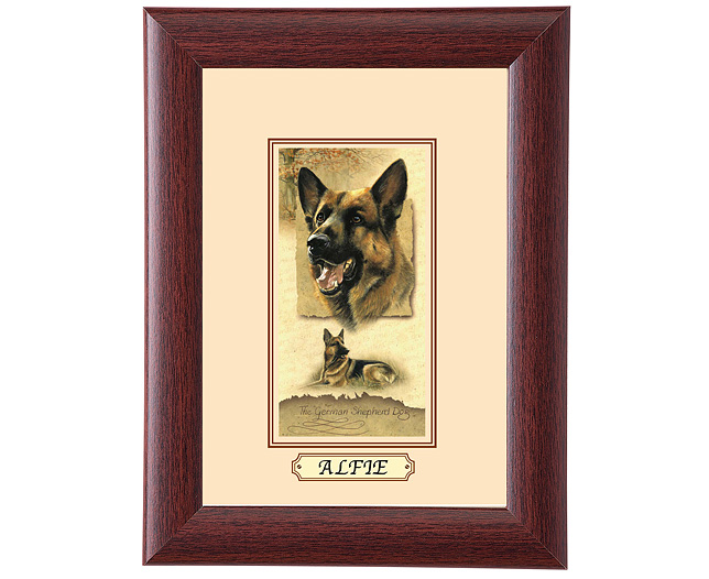 personalised Framed Dog Breed Picture - German