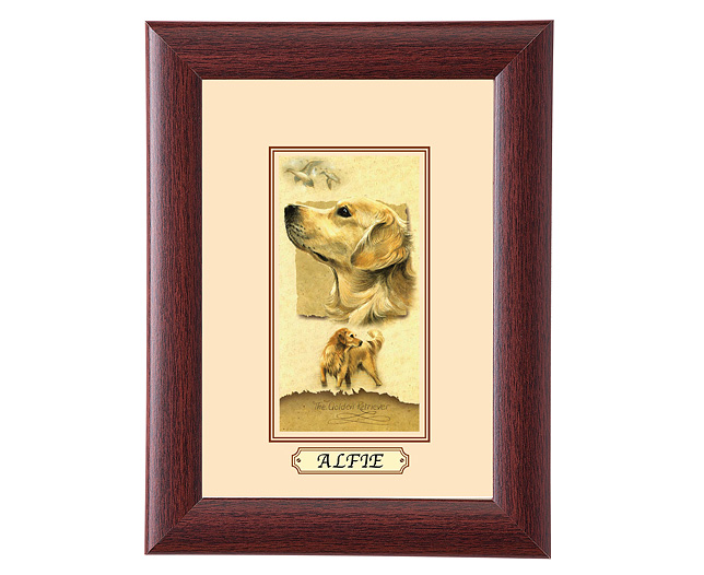 personalised Framed Dog Breed Picture - Golden Retriever