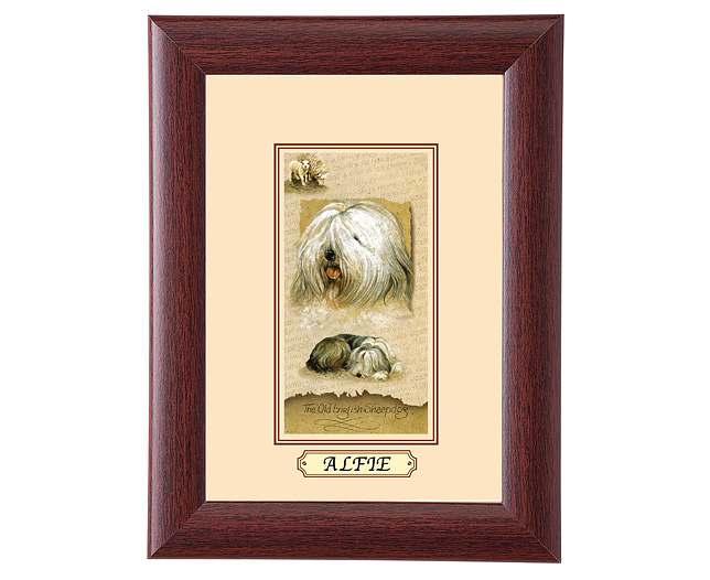 personalised Framed Dog Breed Picture - Old English Sheepdog