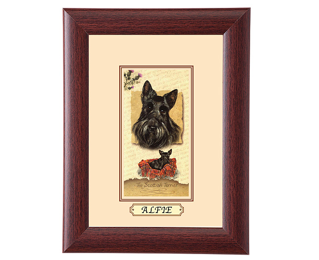 personalised Framed Dog Breed Picture - Scottish