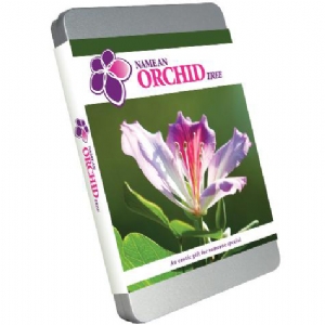Name An Orchid Gift Pack