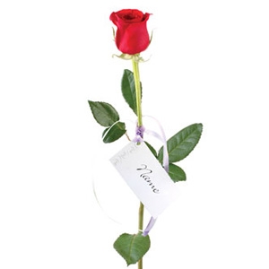 personalised Posters - Single Rose, Love and