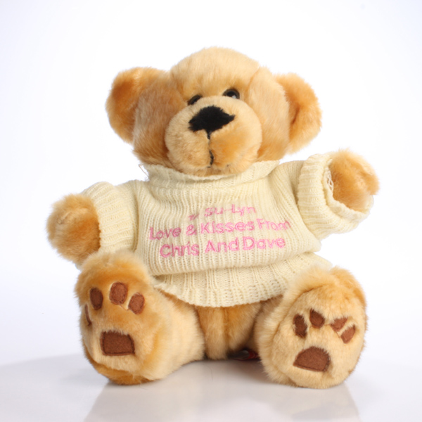 Teddy Message Bear