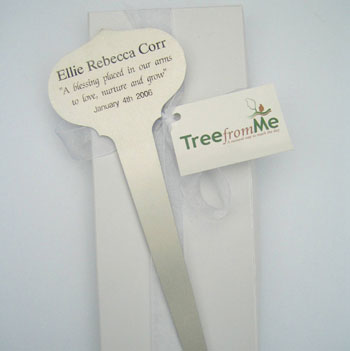 personalised Tree Plaque Seed Gift Set