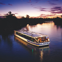 Perth City of Lights Dinner Cruise - Adult