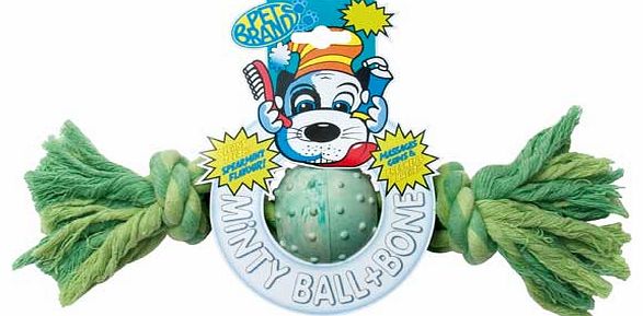 Pet Brands Minty Ball and Bone Dog Toy - Medium