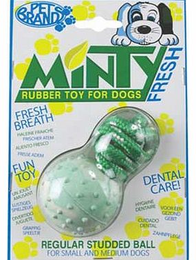 Pet Brands Minty Fresh Rubber Ball Dog Toy -