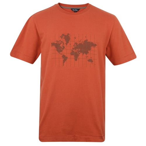 Mens Globe T-shirt