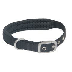 Pets at Home Medium Black Padded Nylon Buckle Dog Collar 40-50cm (16-20in) by Pets at Home