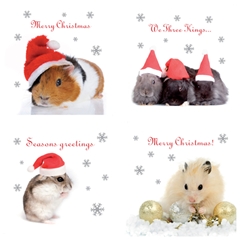 charity christmas cards