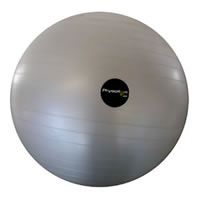 PhysioRoom.com Swiss Ball (55cm)