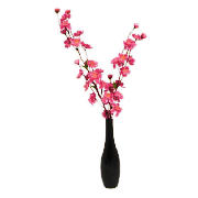 Blossom in Black Vase