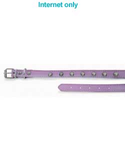 Dog Collar with Studs - 13in