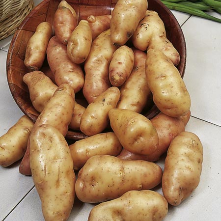 Fir Apple Potatoes - 3 kg (Salad) 3 kg