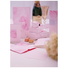 pink Fleur Wedding Stationery Sample Pack