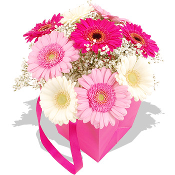 PINK Germini Gift Bag - flowers