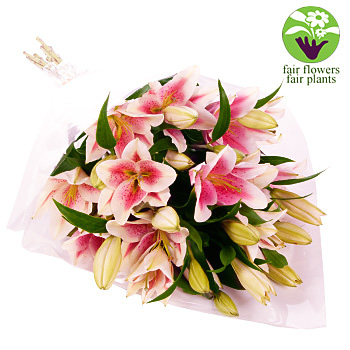 Lily Gift Wrap - flowers