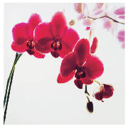 Orchid Printed Canvas 40x40cm