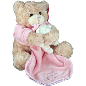 Pink Teddy Bear With Comforter