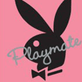 Playmate Pink Poster