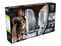 PNY GeForce 7 7300GT - graphics adapter - GF 7300 GT - 512 MB