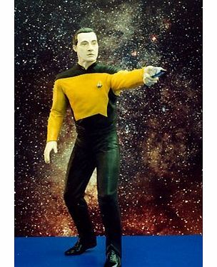 Polydata GeoMetric  Data Vinyl Figure Model Kit Star Trek The Next Generation