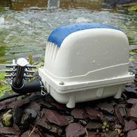 Pondxpert ElectroAir Pump 2100 Plus FREE