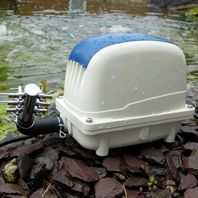 Pondxpert ElectroAir Pump 3600 Plus FREE