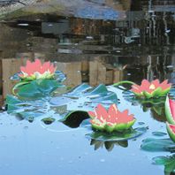 Pondxpert Solar Lilies Triple Red