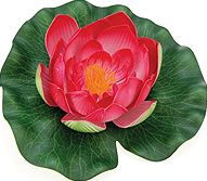 Pontec Pondolily Artificial Plant - Red