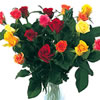 18 Classic Mixed Roses