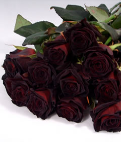 Post-a-Rose Black Roses