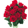 Post-a-Rose Dozen Red Roses