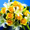 Post-a-Rose Yellow Roses and Lilies