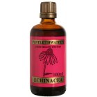 Echinacea Tincture for the Immune System - 100ml
