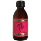 Echinacea Tincture for the Immune System - 200ml