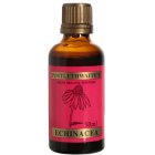 Echinacea Tincture for the Immune System - 50ml