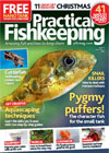 Practical Fishkeeping 3 issues by Credit/Debit