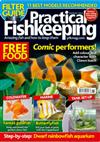 Practical Fishkeeping Annual Direct Debit  