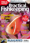Practical Fishkeeping Annual Direct Debit to UK