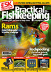 Practical Fishkeeping For the first 6 issues,