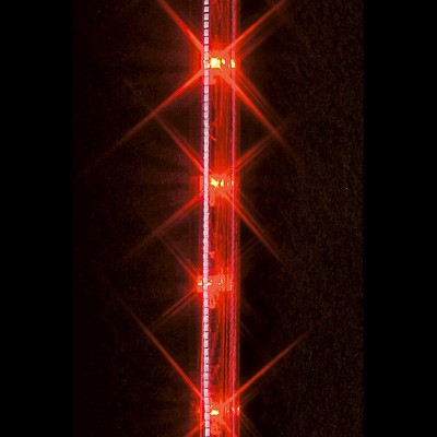 Premier Christmas Lights Rope Light Multi-Action Red 16 Metre