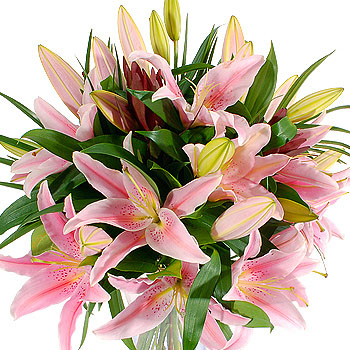 Pretty Pink Lilies - flowers