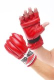 Pro-Box Red Fingerless Punch Bag Mitts Medium