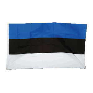 Promex Estonia Large Flag 90 x 150 cm
