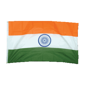 Promex India Large Flag 90 x 150 cm