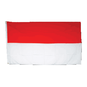 Promex Indonesia Large Flag 90 x 150 cm