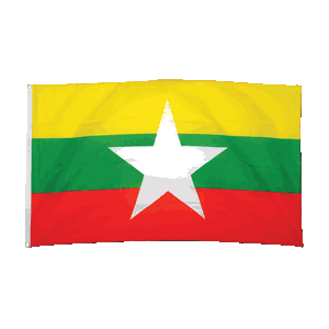 Promex Myanmar Large Flag 90 x 150 cm
