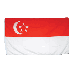 Promex Singapore Large Flag 90 x 150 cm